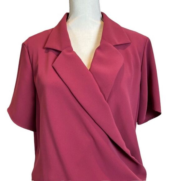 Amanda Uprichard Leonard Dress Blouson Collared Elastic Waist Wine Color Size 2X - Picture 3 of 11